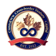 国产美妆集体出海：在TikTok上，谁能赚到“东方美学”的红利？