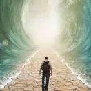 亳州中药材出口暴增217%背后：健康产业做外贸，是风口还是深坑