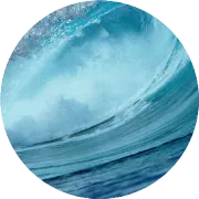 2026年1月榴莲（HS编码08106000）进口分析报告