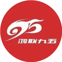 鸿联九五