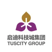 启迪战略投资企业—深圳交通中心将登陆创业板