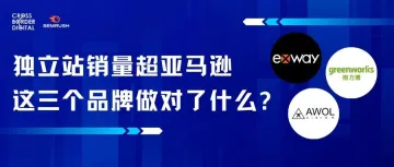 独立站销量超亚马逊,这三个品牌做对了什么?