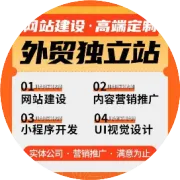 揭秘跨境独立站引流方法，你学会了吗？