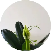 免费高速不省钱