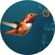 中大六院杨孜欢教授团队结直肠癌的新靶标发现Tissue Cytometry技术揭示 SIRT2 免疫治疗应用潜力