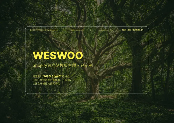 高达2500美金的Shopify Plus 价格是怎么计算的？